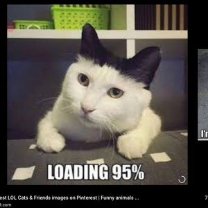 Meet your Posher, Thomas